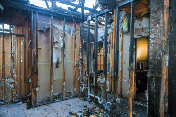 Professional Fire Damage Assessment technician working in Colorado City, TX